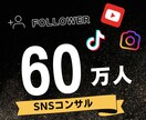 総フォロワー60万人！SNSコンサルいたします TikTok、Instagramのショート動画コンサルです イメージ1