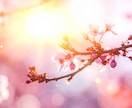 心に寄り添う一輪。あなたを支える花と言葉を届けます 【4月限定｜特別価格 3000円→1500円】 イメージ2