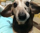 心の暗闇晴らします 直接会うのが苦手な人におすすめです♪ イメージ1