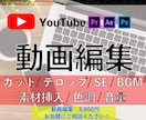 Youtube/SNS/広告 動画編集します どんな動画でも編集します！まずは気軽にご相談ください。 イメージ1