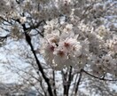 貴方の心の声を聞かせて下さい。貴方に安心をします 一人で悩まずご遠慮なくご相談下さい。貴方の心の声を伺います。 イメージ4