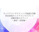 キャリコン試験＜論述・面接対策＞勉強ノート売ります 実務経験0でも実技オールAで一発合格！合格のヒントを言語化 イメージ3