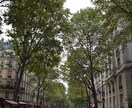 パリの写真素材提供します 商用利用以外、自由に利用OK! イメージ5