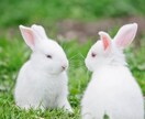 癒し系で優しいと言われる私がどんな話もききます 「感情にいいも悪いもない！」なんでもアウトプットして下さいね イメージ2