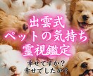 ペットと繋がり【出雲式霊視】で気持ちをお伝えします 何を考えているのか、普段聞けない事がわかります イメージ1