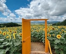 ７月迄お試し価格★北海道観光★１週間チャットします 広すぎる北海道をどうまわる？ドライブ狂いの北海道民が承ります イメージ6