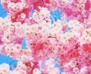 ルノルマン◎ミニグランタブロー近未来をお伝えします ♡片思い♡カップル♡婚活♡既婚♡不倫♡アプリ婚♡仕事など イメージ3