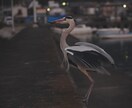 田舎の風景写真・動画を撮影します 海と山の距離が近い田舎暮らしの風景を提供できます イメージ7