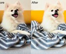 スマホ写真を美麗加工！1件2枚1500円で承ります スマホで撮った写真が一眼レフのような美麗写真に変身！ イメージ1