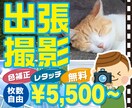 お伺いします！低コストで撮影のお手伝い承ります 全国どこでも出張撮影に行きます！ イメージ1