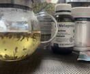 オーストラリア留学・生活サポート致します いろんな経験を経て伝えられる、リアルな体験とアドバイスを イメージ2