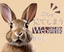 思わず見てしまうWeb画像をお作りします 【先着10名様】特別価格・修正無制限でお作りします イメージ1