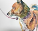 ペットのイラストを水彩画で描きます 写真にも写らない貴方だけが知っているペットの魅力を表現します イメージ2