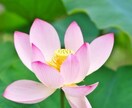 霊視鑑定いたします ☆現代魔法を使っての霊視鑑定☆ イメージ1