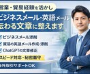 ビジネスメールを添削します｜英語メール対応します 輸出入実務経験あり｜海外メーカーとのメール、値上げなど イメージ1