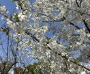 教員経験20年の早期退職者が相談に乗ります なかなか、相談しにくいこと、相談に乗らせてください！！ イメージ2
