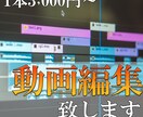 幅広い分野の動画を安く編集致します 見やすい動画！素早い編集！安い！Adobe！ イメージ1