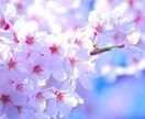 動画の撮影、編集格安で請け負います 撮影から編集まで柔軟に対応！まずはご相談を！！ イメージ4