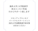 海外大学/大学院 出願エッセイ作成支援致します 【合格多数】コモンapp・SOP、出願エッセイでお困りの方へ イメージ3