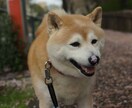 仕事、恋愛、人間関係、お金など何でも話し聞きます 仕事、恋愛、人間関係、お金など何でも話し聞きます。 イメージ1