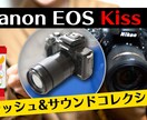 プロがYouTubu編集します 撮影した動画を送るだけで安くて速くて高品な動画を提供！ イメージ1