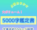 どんなお悩みも徹底的に占い、長文アドバイスします 5,000字以上！あらゆる占術を使ってあなたをサポートします イメージ1