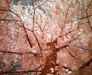 紫蝶が視る｜あなたの運命の人を深淵霊視します 人生には、魂が再び巡り逢うことを約束してきたご縁があります。 イメージ3