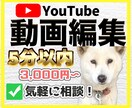 YouTube/ショート動画を丁寧に仕上げます 長期でのご依頼大歓迎です！^ ^ イメージ1