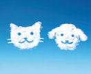 現役獣医師に直接質問！　犬猫の相談なんでものります あなたの心配をお聞かせください イメージ3