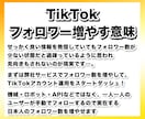 TikTokフォロワー40〜300人増やします 日本人フォロワー「＋40〜300人」手動で増やす宣伝拡散PR イメージ3
