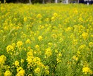 心のモヤモヤから解放！デトックス手伝います 初めての方歓迎◎心に寄り添う鑑定で前を向くヒントをお届け。 イメージ3