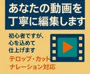 初心者でも丁寧にあなたの動画編集します 初心者だからこそ丁寧に寄り添う編集を イメージ1
