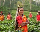 インドに関する産業記事を執筆します ～インドの産業記事をあなたのために作成～ イメージ1