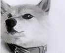 B3も可！愛するペットをお描きし、現物を届けます 愛するペットへのプレゼントいかがでしょう イメージ3