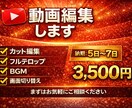 安価で見やすい動画を作成致します 実績作りのためお安く！フルテロップでクオリティー落としません イメージ1