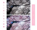 5枚1000円 / 写真、画像編集いたします 完成イメージと使用目的を大切に加工致します。 イメージ2