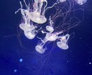 現役理学療法士が実習や仕事の悩み相談のります 悩みすぎず、新しいことをたくさん見つけよう！ イメージ1