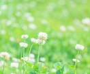 寸時一緒にお話ししましょう☺軽い会話相手になります むずかしく考えずにお電話をどうぞ☆話相手・愚痴聞き・相談など イメージ8