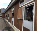 現役馬主の馬券購入（競馬予想）スタイルをレクチャーします。3連単で手広くドカーンが王道。 イメージ3