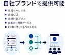 法人向けSNS完全自動運用システムを構築します 1人で何百ものSNSを毎日完全自動運用｜7媒体・OEM対応 イメージ8