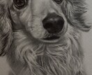 大切なペットや人を息をのむほどリアルな絵にします 息をのむほどのリアルに描きます。 イメージ1