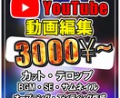 20分の動画も3000円！動画編集します コメディからビジネスなど、なんでもご相談ください！ イメージ1