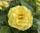 誰にも言えないモヤモヤ、聞きます 近しい人には言えないけど誰かに聞いてほしい方 イメージ3
