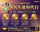 SNS運用丸投げ！企画〜分析改善まで対応します LP・LINE・広告まで連携し、売上につながる導線を構築 イメージ1