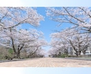 パパママ応援✨現役塾講師がお悩みなどをお聴きします 子供の問題・学校・塾…直接聞けないことや気になる疑問もOK♪ イメージ4