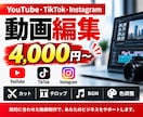 YouTube・SNS動画を丁寧に編集します YouTube・TikTok・リール対応｜4,000円〜 イメージ1