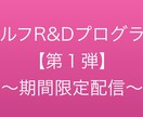 セルフR&Dプログラム【第1弾】をお伝えします 【期間限定】“次の時代”を生きていくために、今伝えたいこと イメージ1