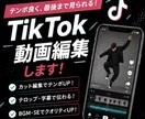 TikTok動画を編集しますます テンポ良く見やすい動画に編集します イメージ1