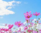 看護師があなたの日常の悩みや不安に寄り添います 前向きな気持ちで明日を迎えられるよう、全力でサポートします。 イメージ2