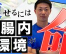 YouTube動画編集を代行をさせていただきます 合わせてクリック率改善に向けたサムネイル作成もお任せください イメージ6